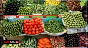 من 6 جنيهات فقط.. أسعار الخضروات والفاكهة اليوم الخميس مفاجأة بشأن سعر البطاطس وباقي الأصناف. 1